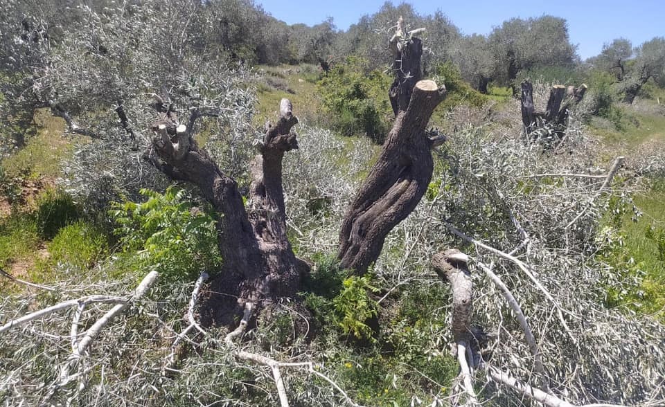 صورة أرشيفية.